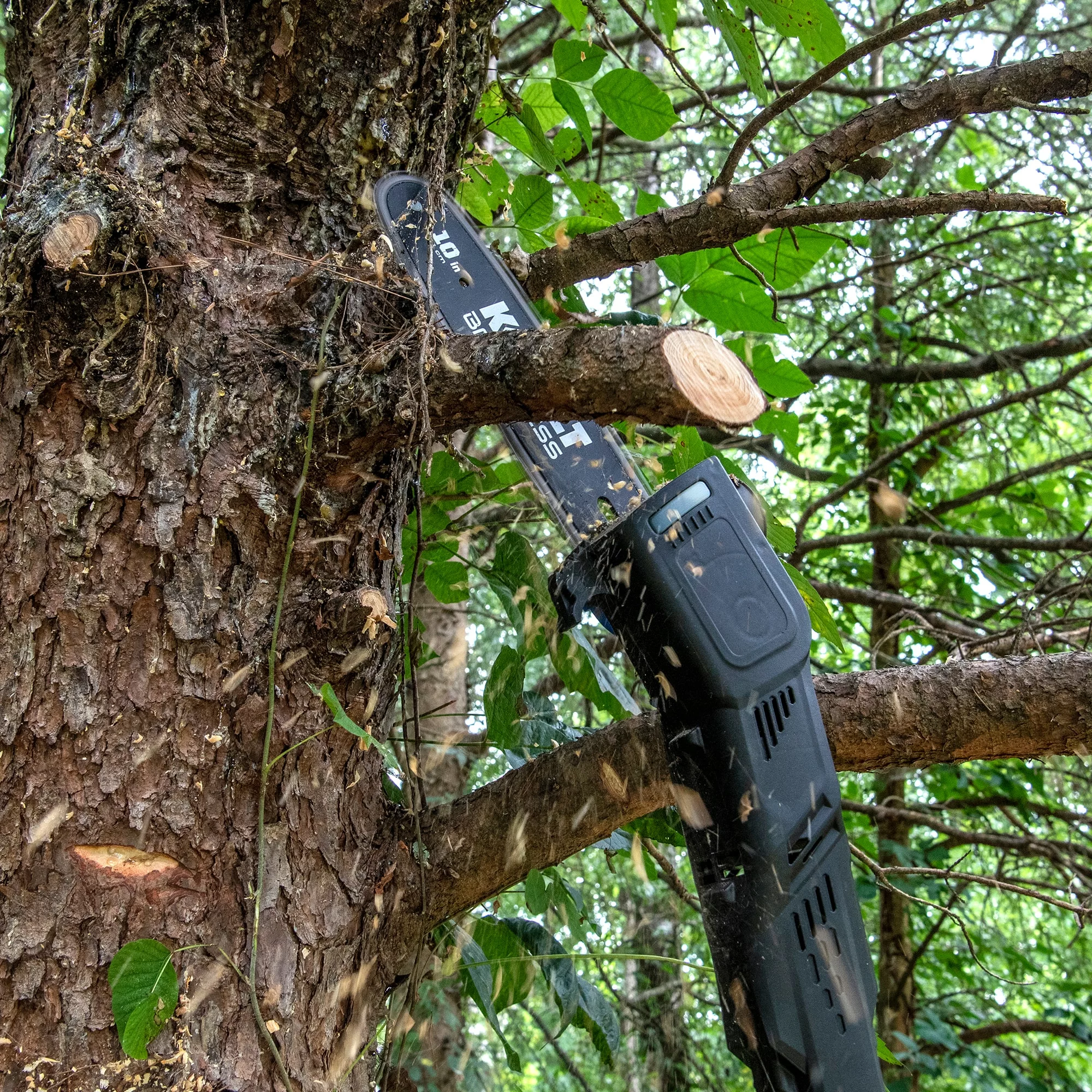 Kobalt 80-Volt 10-in Cordless Electric Pole Saw (Battery Not Included) - Outdoor Tools & Equipment - Image 9